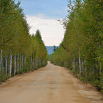 阿尔山