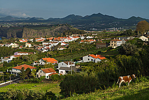 葡萄牙,亚速尔群岛,岛屿,城镇景色
