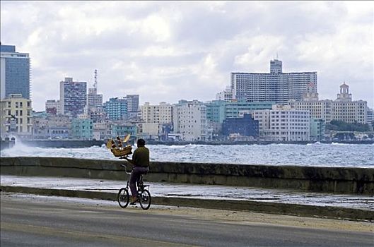 男人,运输,小,船模,自行车,马雷贡,码头,现代,哈瓦那,古巴,加勒比海