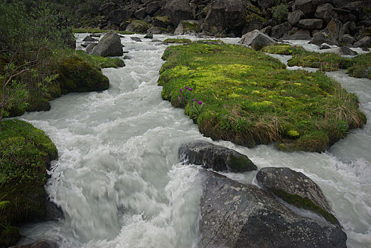 山,河,水流,峡谷,石头,岩石,陆地,靠近,漂亮,山景