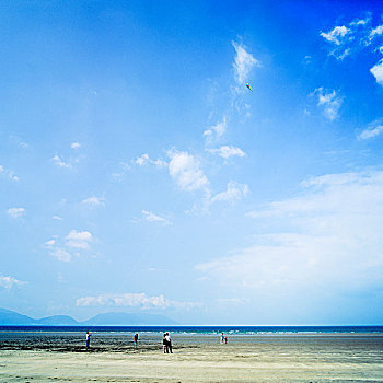 放风筝,海滩,英寸,丁格尔半岛,凯瑞郡,爱尔兰