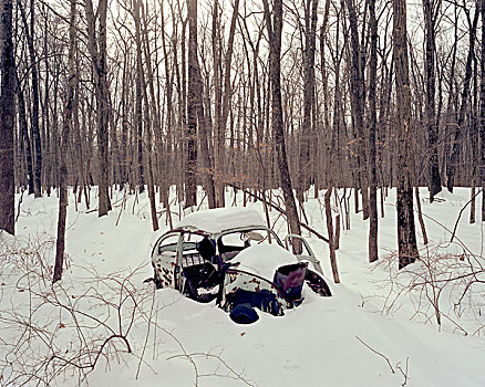 生锈,雪,树林,空,树,纽约,美国,二月,2009年