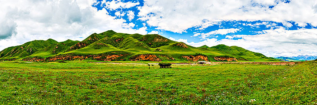 高山草原山脉