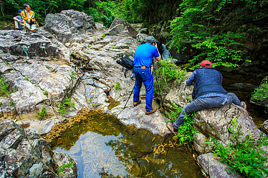 石头,鹅卵石,小溪,山石,山泉