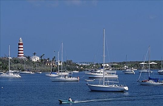 游艇,船只,港口,巴哈马
