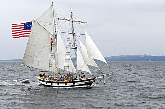 纵帆船,惊奇,优雅,轻便马车,港口,华盛顿,美国