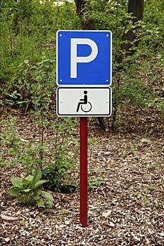 信息指示,停车场,残障,人,德国