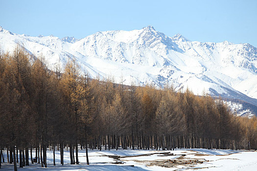 雪后天山美景