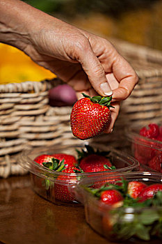 手,职员,拿着,草莓,超市