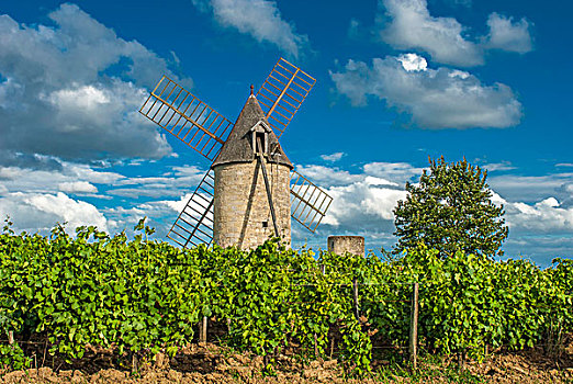 法国,风车,葡萄园