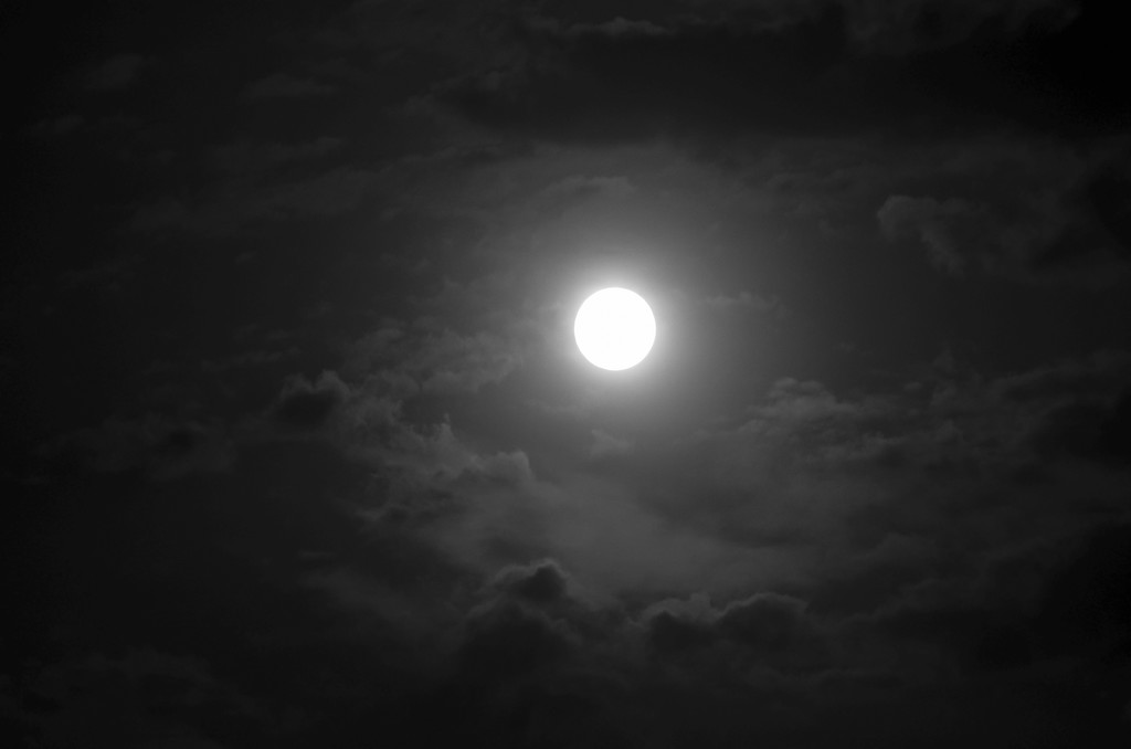 月圆图片真实夜晚图片