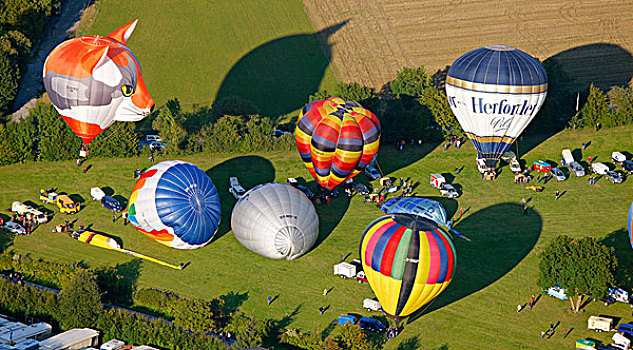 航拍,20世纪,热,空气,气球,节日,向上,天空,沃尔斯坦,藻厄兰,北莱茵威斯特伐利亚,德国,欧洲