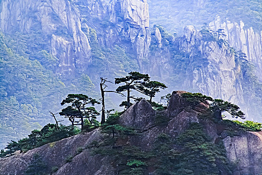 安徽省黄山市黄山风景区天海大峡谷自然景观