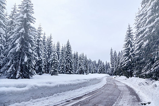雪,冬天,道路,朱利安阿尔卑斯
