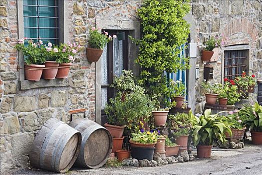 盆栽,户外,建筑,托斯卡纳,意大利