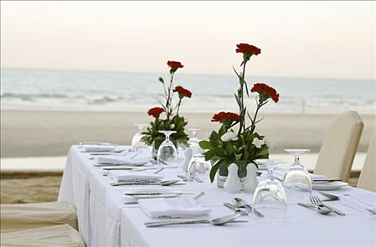 桌子,红色,康乃馨,海滩