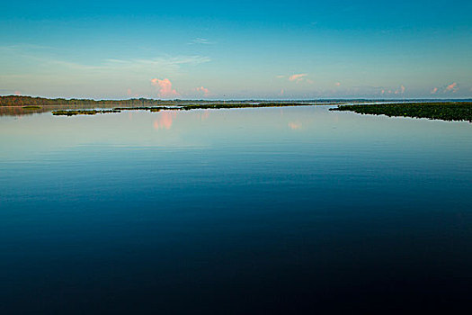 湖,车叶草,黎明,佛罗里达