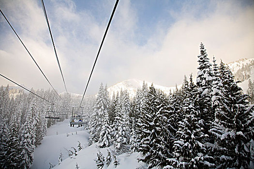 缆车,晶莹,山,滑雪胜地,雷尼尔山国家公园,华盛顿,美国