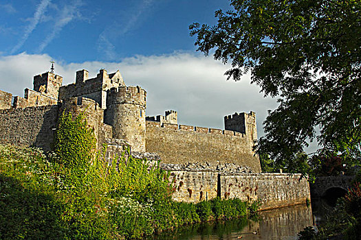 城堡,河,蒂珀雷里郡,爱尔兰