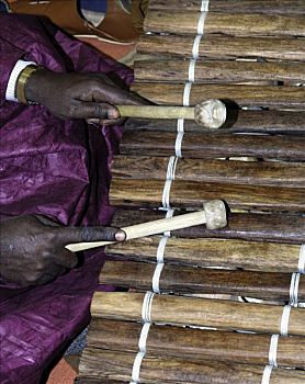 传统乐器,木琴,冈比亚,西非