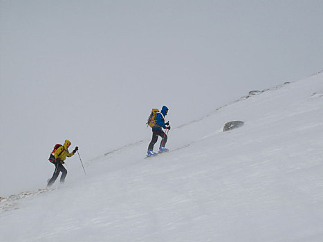 登山,滑雪,旅游,顶峰,阿尔卑斯山,提洛尔,奥地利