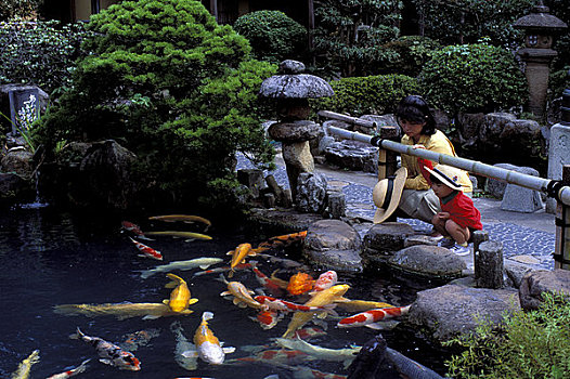 日本,本州,餐馆,日式庭园,母亲,男孩,看,鲤鱼