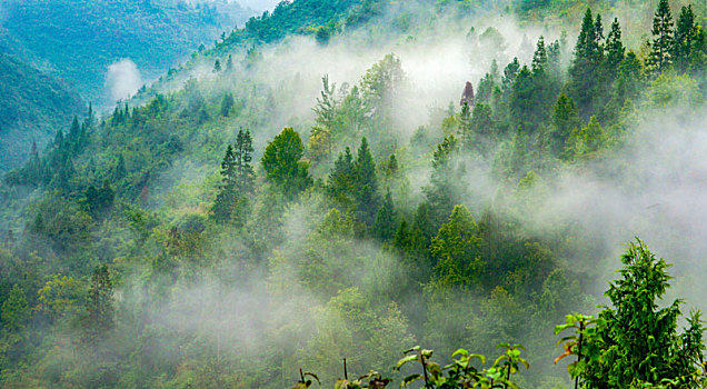 重庆酉阳,秋雨山村雾茫茫