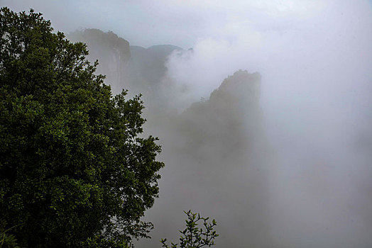 恩施,黄鹤峰,风景,景点,旅游,高山,山区,神秘,树木,植被,石头,鄂西,奇石,峡谷,壮观,云海,仙境