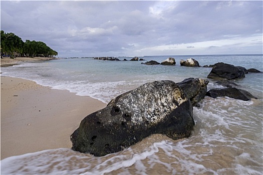 毛里求斯,海岸,海龟湾,巴拉克拉法帽
