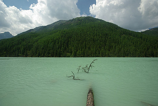 漂亮,山景,靠近,湖,高山湖,山地,水,山谷