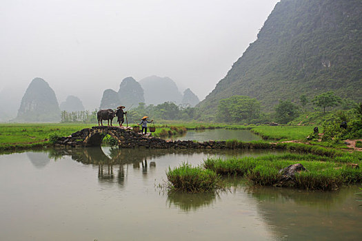 烟雨桂北农家忙