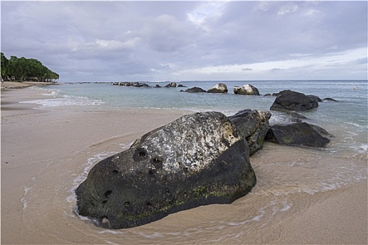 毛里求斯,巴拉克拉法帽,海龟湾