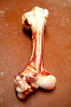 牛肉,骨头