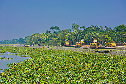 划艇,河,孟加拉,亚洲