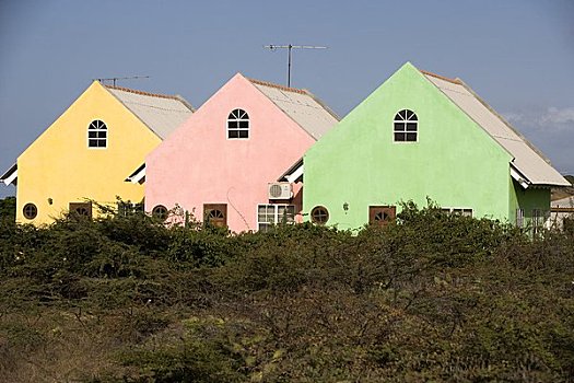 彩色,房子,荷属列斯群岛