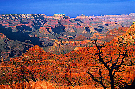 俯拍,岩石构造,大峡谷,大峡谷国家公园,亚利桑那,美国