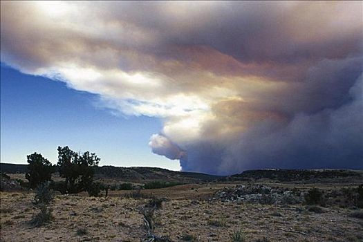 巨大,烟,云,展示,低,火,亚利桑那,风景,草原,雷暴,森林火灾,威胁