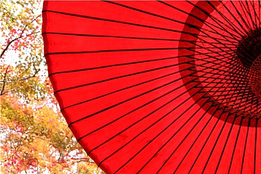 日本传统,红色,伞,秋叶