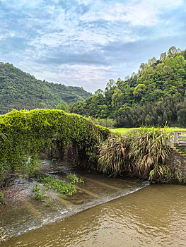 文村,美丽乡村