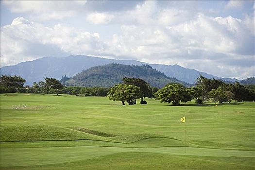 树,高尔夫球场,山脉,背景,考艾岛,夏威夷,美国