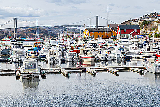 小,挪威,渔村,木屋,停泊,船,北海,海岸