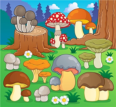蘑菇,图像