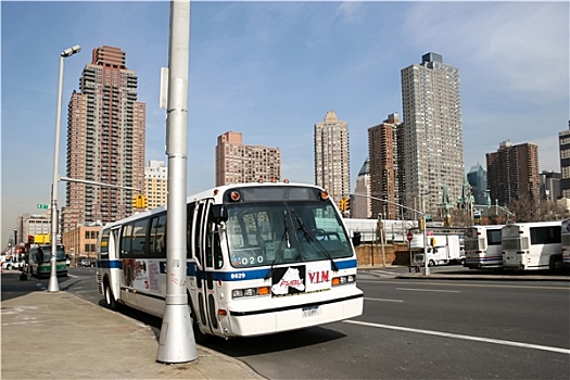 巴士,停放,曼哈顿