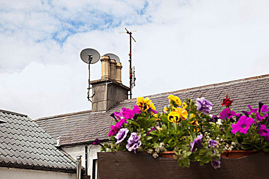 烟囱,碟形卫星天线,屋顶,威克洛郡,爱尔兰