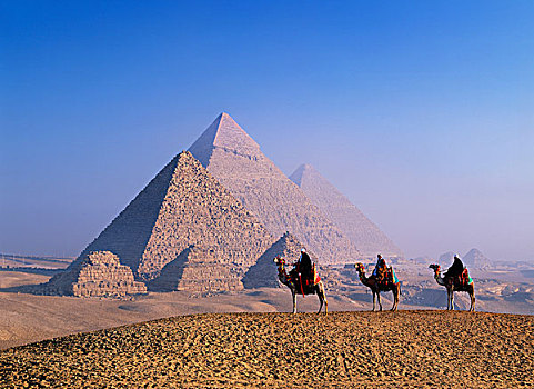 金字塔,三个,骆驼,埃及,非洲