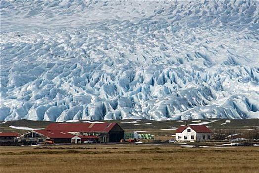 农场,冰河,结束,南,冰岛,欧洲
