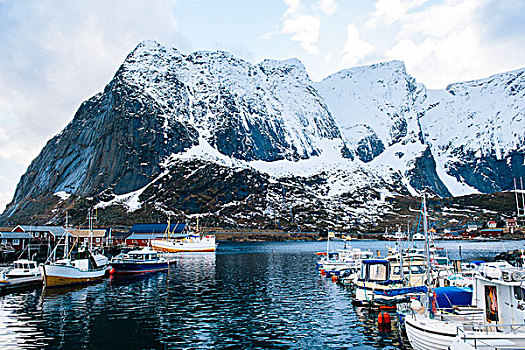 渔船,港口,瑞恩,罗弗敦群岛,挪威