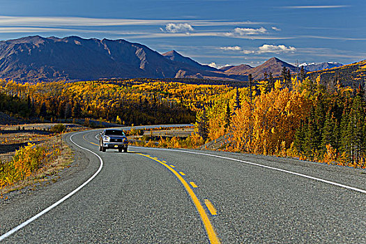 景色,阿拉斯加公路,交通,海恩斯,阿拉斯加,连通,育空地区,加拿大,秋天