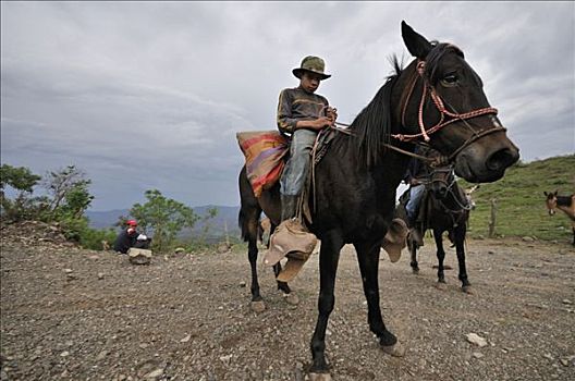 孩子,骑乘,尼加拉瓜,中美洲