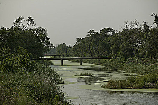 乡村景观河小桥